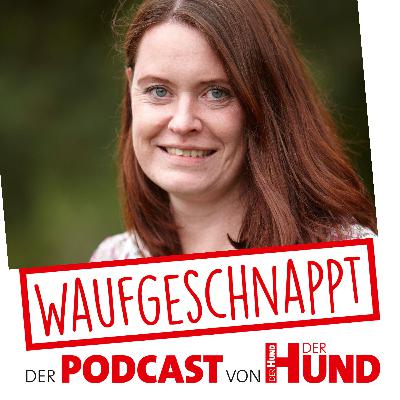 Trauma bei Hunden - Dr. Iris Mackensen-Friedrichs