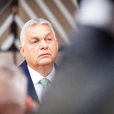 Rechtspopulismus - Buchautor: Extremisten treiben etablierte Parteien vor sich her