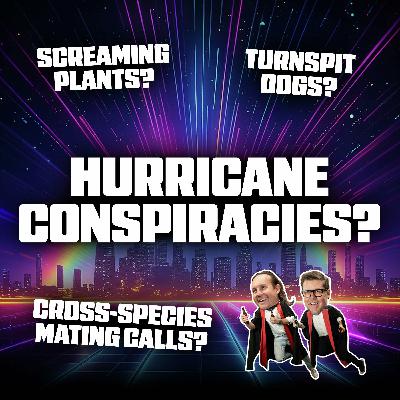 Hurricane Conspiracies, Screaming Plants, and Turnspit Dogs Hurricane Conspiracies, Screaming Plants, and Turnspit Dogs