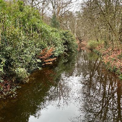 Yoga Nidra - ontspanning