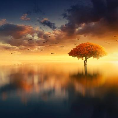 Man Is Shown Life’s Purpose in his NDE