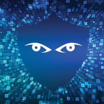 Cyberzone: Data, ransomware & the power of cyber injunctions Cyberzone: Data, ransomware & the power of cyber injunctions
