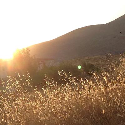 The Truth About Abundance/Mood Mastery