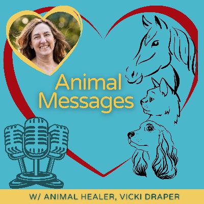Unlocking Two-Way Connections between You and Your Pet Unlocking Two-Way Connections between You and Your Pet