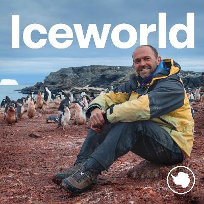 S4 Ep5: Penguin passion at the poles with Derren Fox and Peter Fretwell