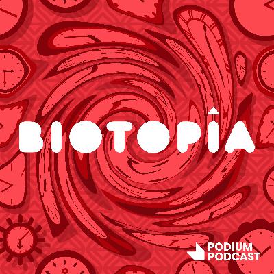 T02E08 - Los candidatos