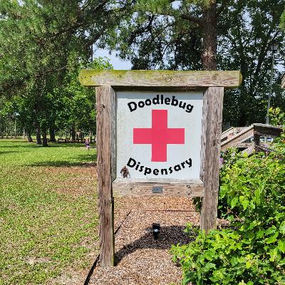 Medical Form C & Medical Accessibility