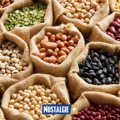 Fabacées : ces plantes aux multiples bienfaits pour l’alimentation et les cultures Fabacées : ces plantes aux multiples bienfaits pour l’alimentation et les cultures