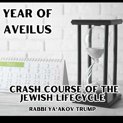 Year of Aveilus
