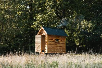 Lessons from the Woods - Good and Bad