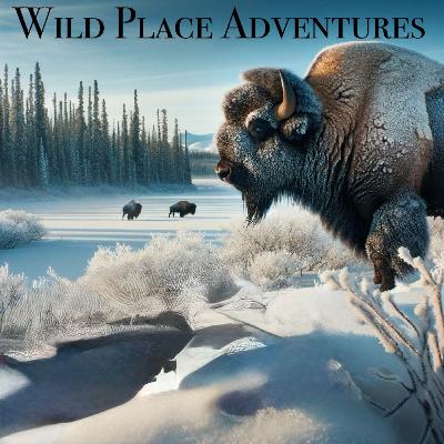 Bison Hunting Deep Dive: Techniques, Ethics & Wild Yukon Tales