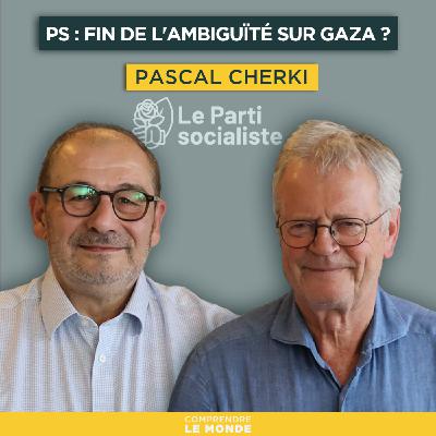 Parti socialiste : fin de l'ambiguïté sur Gaza ? Avec Pascal Cherki | Entretiens géopo