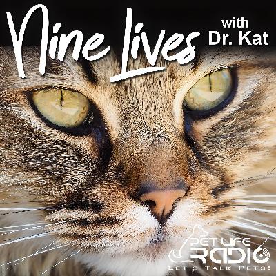 Nine Lives with Dr. Kat - Ep 153 Helping Cats Be Pain Free