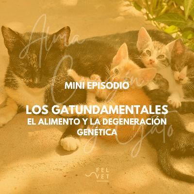 GATUNDAMENTAL: La Genética y el Daño Generacional de Nuestros Gatos