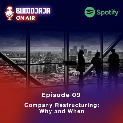 Episode 09 - Company Restructuring: Why and When