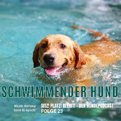 #23 Schwimmender Hund - Instinkt oder Übungssache?
