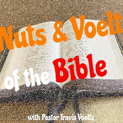 Becoming Ambassadors