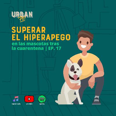 Ep. 17 - Superar el hiperapego en las mascotas tras la cuarentena