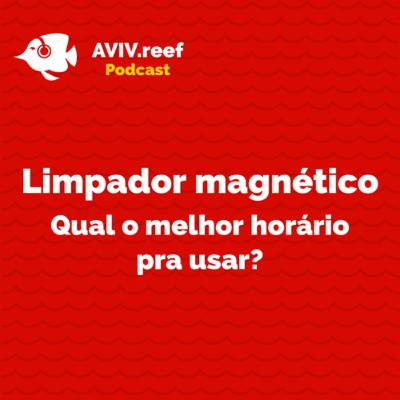 Qual o melhor horário para usar o limpador magnético?