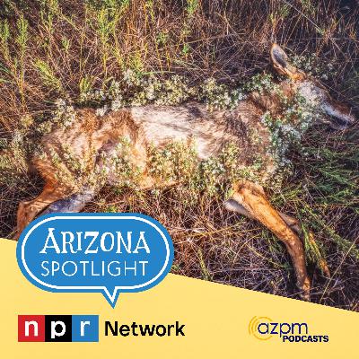 The art of "Kindred Spirits: Honoring Animals in Death"