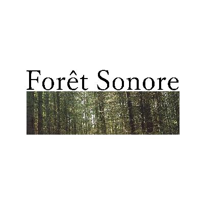 Forêt Sonore Saison 3 Ep.1 - Entrez dans le Bain.. de Forêt..