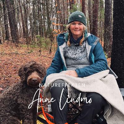 Anne Lindmo Anne Lindmo