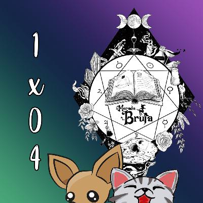 1x04 Programa Especial: ¡Malas Pulgas para todos! (Parte I)