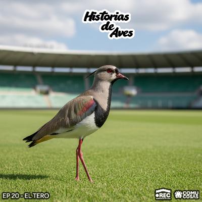 20: El Tero 20: El Tero
