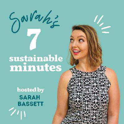 How to handle Christmas and the Holidays as an environmentalist
