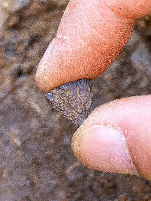 Sparks in the Mud: How Neanderthals Learned to Command Fire 400,000 Years Ago Sparks in the Mud: How Neanderthals Learned to Command Fire 400,000 Years Ago