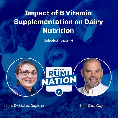 Impact of B Vitamin Supplementation on Dairy Nutrition