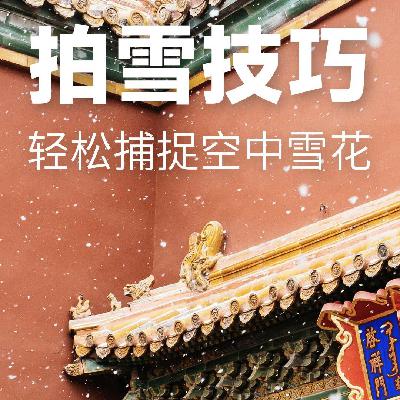 拍雪技巧:轻松捕捉空中雪花-摄影早自习第2568天 拍雪技巧:轻松捕捉空中雪花-摄影早自习第2568天