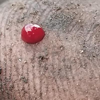 Do pal ruka khwabo ka karwan