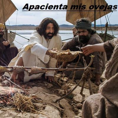 62-Apacienta mis Ovejas.mp3