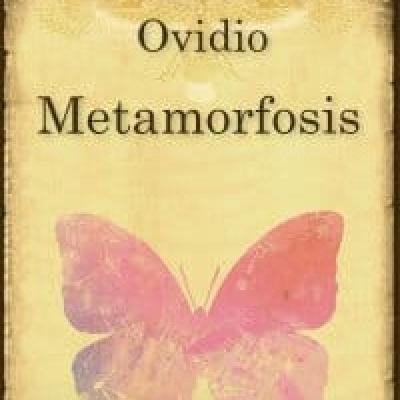 Metamorfosis de Ovidio Libro 6 Metamorfosis de Ovidio Libro 6