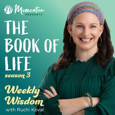 Bereishit: The Reset Button