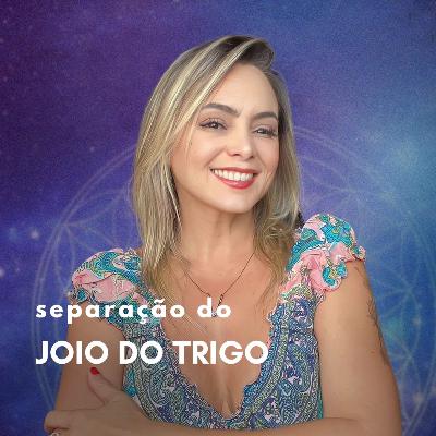A SEPARAÇÃO DO JOIO DO TRIGO