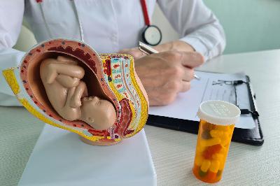 All Your Pregnancy Questions Answered: Nausea + Folate + IVF and Stillbirth