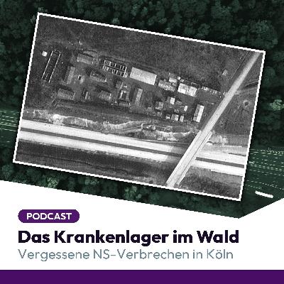 Trailer: Das Krankenlager im Wald