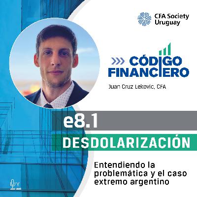 8.1 Desdolarización: Entendiendo la problemática y el caso extremo argentino