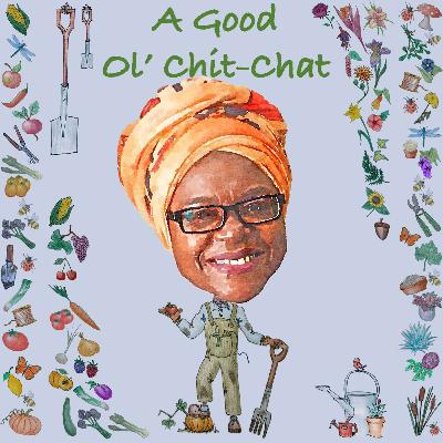 Ep62: A Good Ol' Chit-Chat With... Advolly Richmond