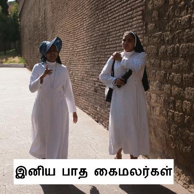 58. இனியபாத கைமலர்கள் | FLOWERS 58. இனியபாத கைமலர்கள் | FLOWERS