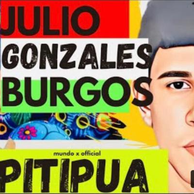 julio gonsalez burgos bichote de vista hermosa
