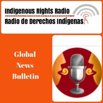 Cultural Survival Global News Bulletin December 2025