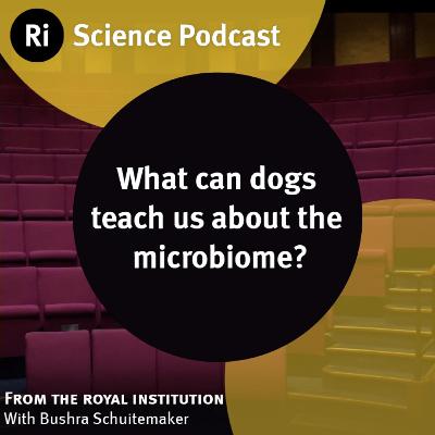 What can dogs teach us about the microbiome? - with Bushra Schuitemaker