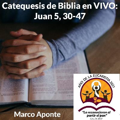 Catequesis de Biblia en VIVO: Juan 5, 30-47 — Marco Aponte