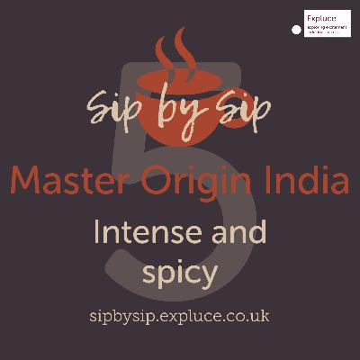 Cup 5, Master Origin India: Intense and spicy