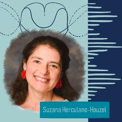 #11 A singularidade do cérebro humano