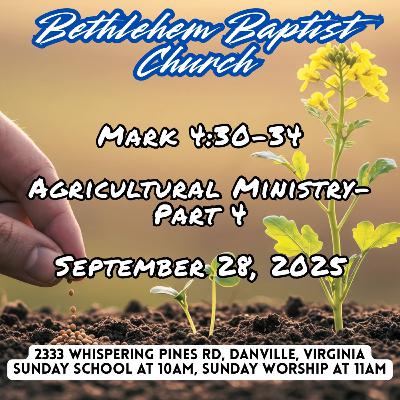 Mark 4:30-34, Agricultural Ministry, Part 4 Mark 4:30-34, Agricultural Ministry, Part 4