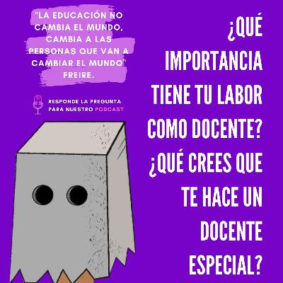 Importancia de la docencia Importancia de la docencia